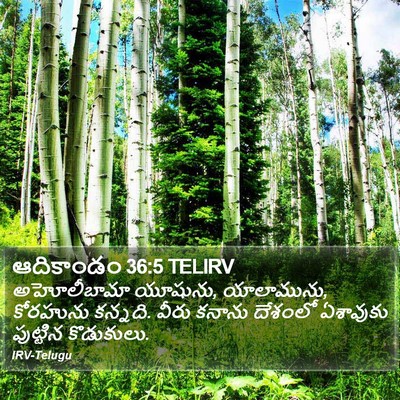 ఆదికాండం 36:5 TELIRV Bible Verse Image