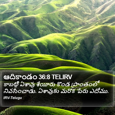 ఆదికాండం 36:8 TELIRV Bible Verse Image