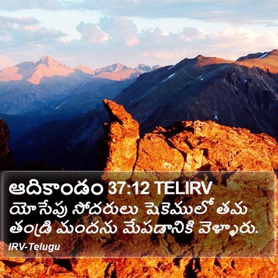 ఆదికాండం 37:12 TELIRV Bible Verse Image