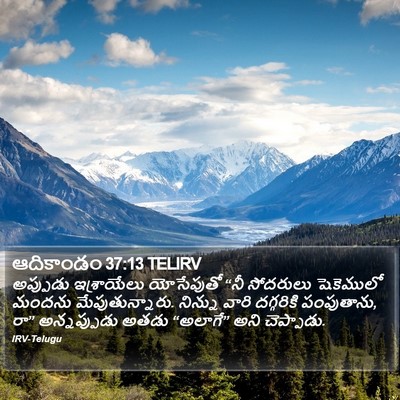 ఆదికాండం 37:13 TELIRV Bible Verse Image