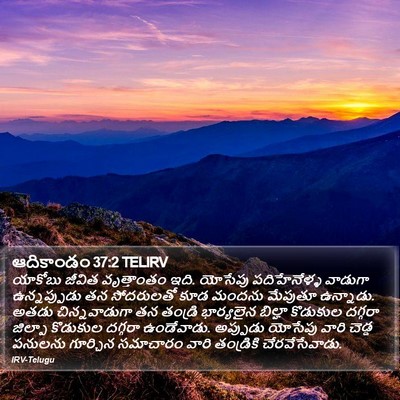 ఆదికాండం 37:2 TELIRV Bible Verse Image