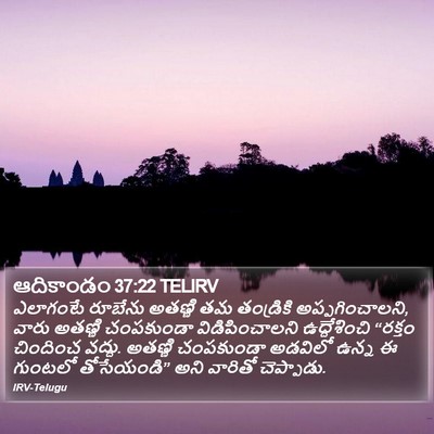 ఆదికాండం 37:22 TELIRV Bible Verse Image