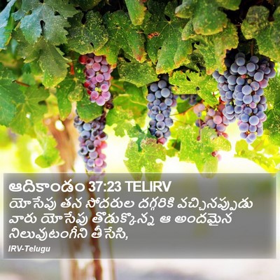 ఆదికాండం 37:23 TELIRV Bible Verse Image