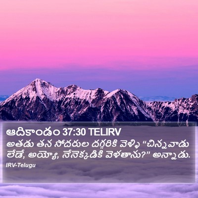ఆదికాండం 37:30 TELIRV Bible Verse Image