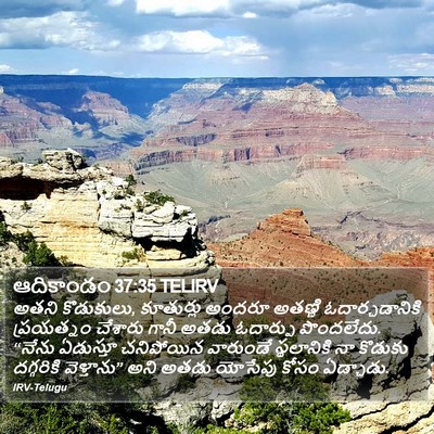 ఆదికాండం 37:35 TELIRV Bible Verse Image