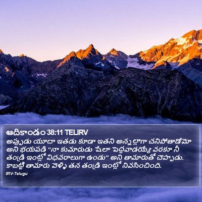 ఆదికాండం 38:11 TELIRV Bible Verse Image