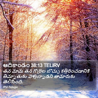 ఆదికాండం 38:13 TELIRV Bible Verse Image