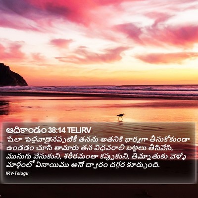 ఆదికాండం 38:14 TELIRV Bible Verse Image