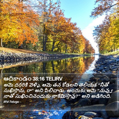 ఆదికాండం 38:16 TELIRV Bible Verse Image