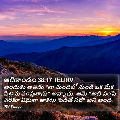 ఆదికాండం 38:17 TELIRV Bible Verse Image