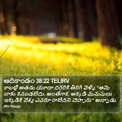 ఆదికాండం 38:22 TELIRV Bible Verse Image