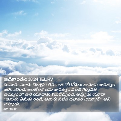 ఆదికాండం 38:24 TELIRV Bible Verse Image