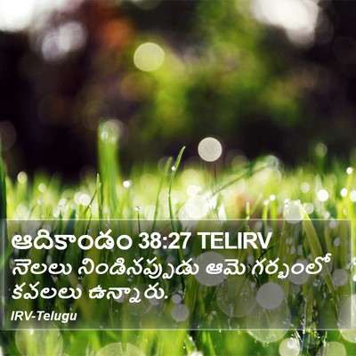 ఆదికాండం 38:27 TELIRV Bible Verse Image
