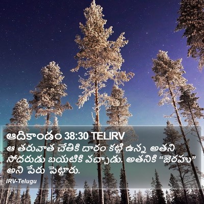 ఆదికాండం 38:30 TELIRV Bible Verse Image