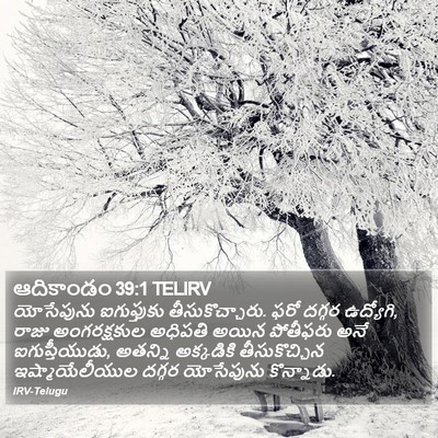ఆదికాండం 39:1 TELIRV Bible Verse Image