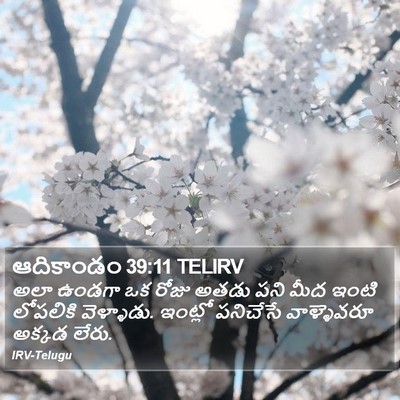 ఆదికాండం 39:11 TELIRV Bible Verse Image