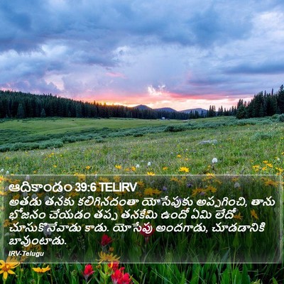 ఆదికాండం 39:6 TELIRV Bible Verse Image