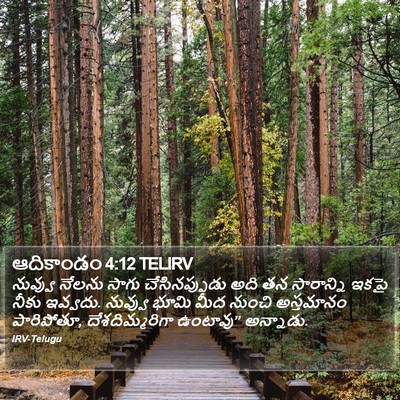 ఆదికాండం 4:12 TELIRV Bible Verse Image