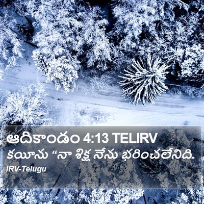 ఆదికాండం 4:13 TELIRV Bible Verse Image