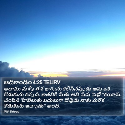 ఆదికాండం 4:25 TELIRV Bible Verse Image