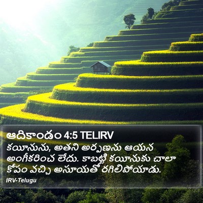 ఆదికాండం 4:5 TELIRV Bible Verse Image