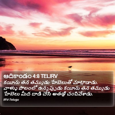ఆదికాండం 4:8 TELIRV Bible Verse Image