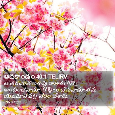ఆదికాండం 40:1 TELIRV Bible Verse Image