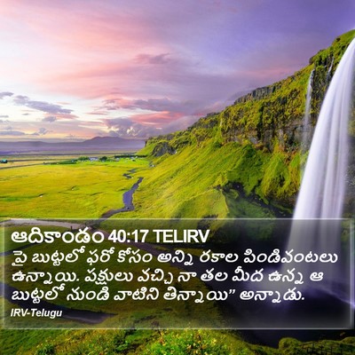 ఆదికాండం 40:17 TELIRV Bible Verse Image