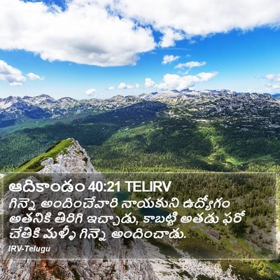 ఆదికాండం 40:21 TELIRV Bible Verse Image