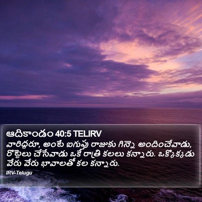 ఆదికాండం 40:5 TELIRV Bible Verse Image