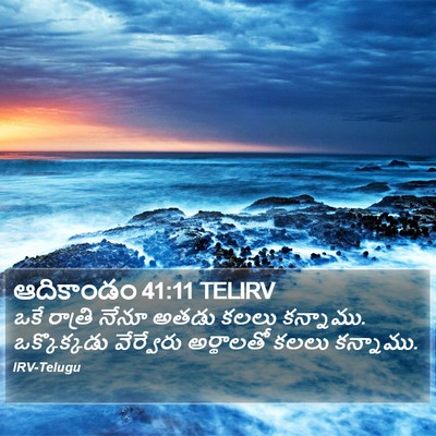 ఆదికాండం 41:11 TELIRV Bible Verse Image
