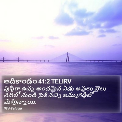 ఆదికాండం 41:2 TELIRV Bible Verse Image