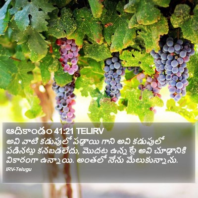 ఆదికాండం 41:21 TELIRV Bible Verse Image