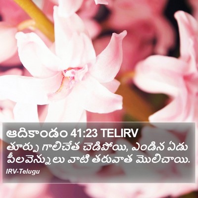 ఆదికాండం 41:23 TELIRV Bible Verse Image