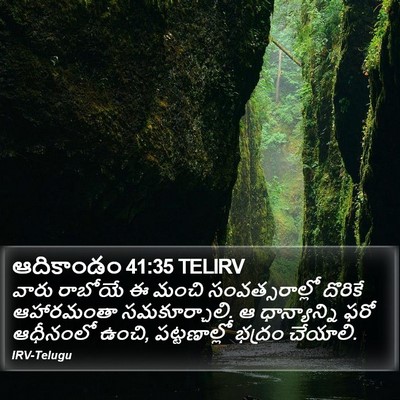 ఆదికాండం 41:35 TELIRV Bible Verse Image