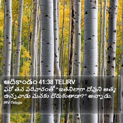 ఆదికాండం 41:38 TELIRV Bible Verse Image