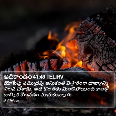 ఆదికాండం 41:49 TELIRV Bible Verse Image