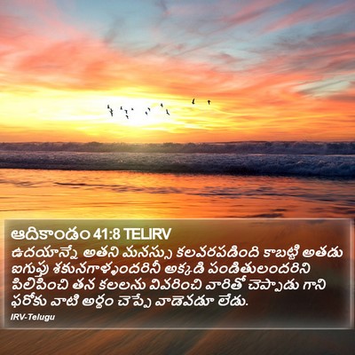 ఆదికాండం 41:8 TELIRV Bible Verse Image