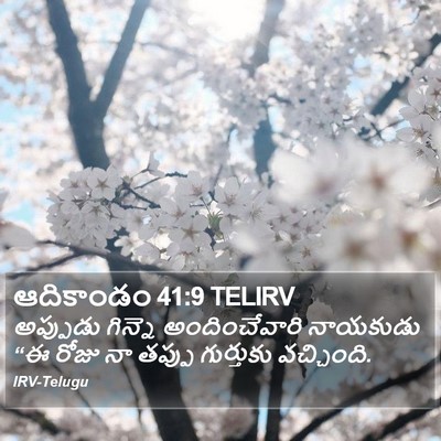 ఆదికాండం 41:9 TELIRV Bible Verse Image
