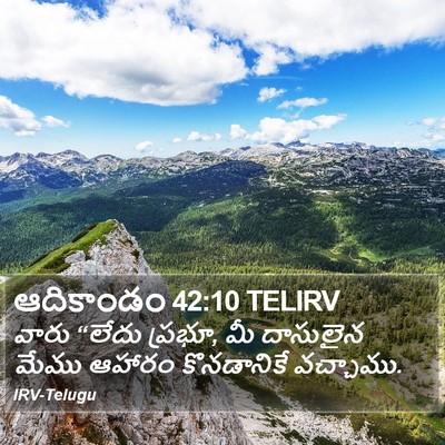 ఆదికాండం 42:10 TELIRV Bible Verse Image
