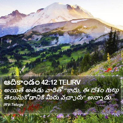 ఆదికాండం 42:12 TELIRV Bible Verse Image