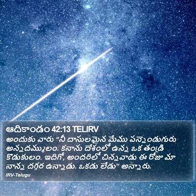 ఆదికాండం 42:13 TELIRV Bible Verse Image