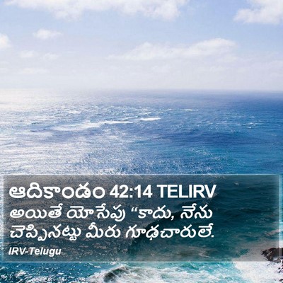 ఆదికాండం 42:14 TELIRV Bible Verse Image