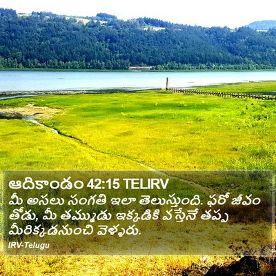 ఆదికాండం 42:15 TELIRV Bible Verse Image