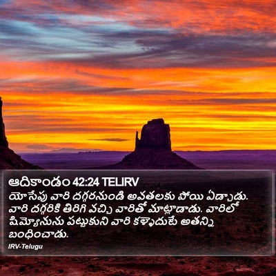 ఆదికాండం 42:24 TELIRV Bible Verse Image