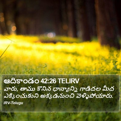 ఆదికాండం 42:26 TELIRV Bible Verse Image