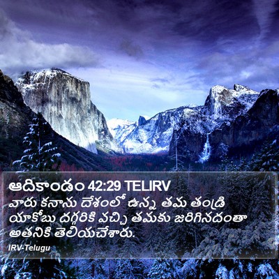 ఆదికాండం 42:29 TELIRV Bible Verse Image