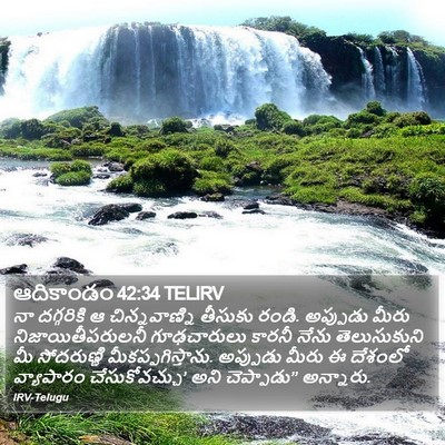 ఆదికాండం 42:34 TELIRV Bible Verse Image