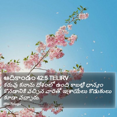 ఆదికాండం 42:5 TELIRV Bible Verse Image
