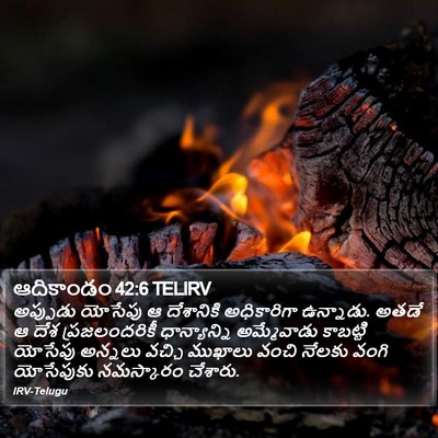 ఆదికాండం 42:6 TELIRV Bible Verse Image